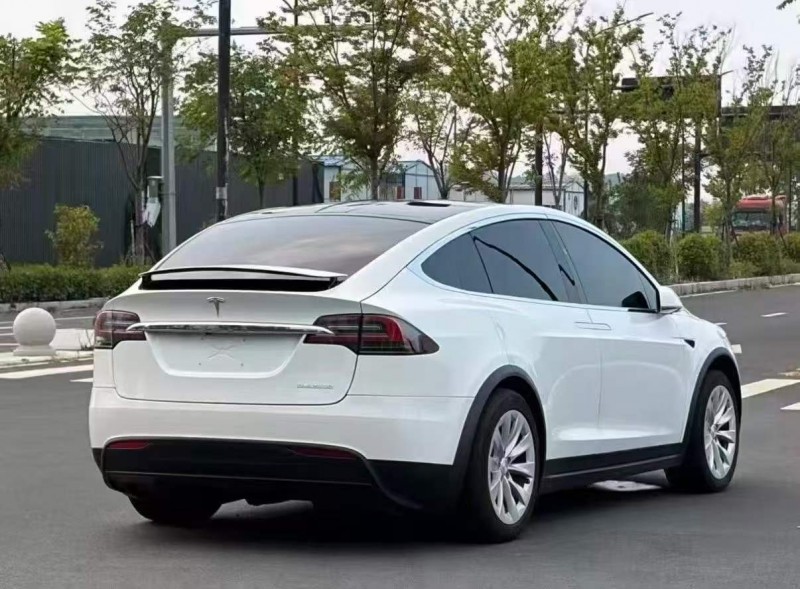淄博20年特斯拉MODEL X4