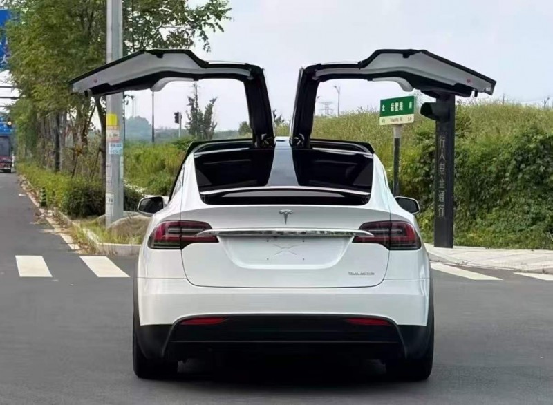 淄博20年特斯拉MODEL X5