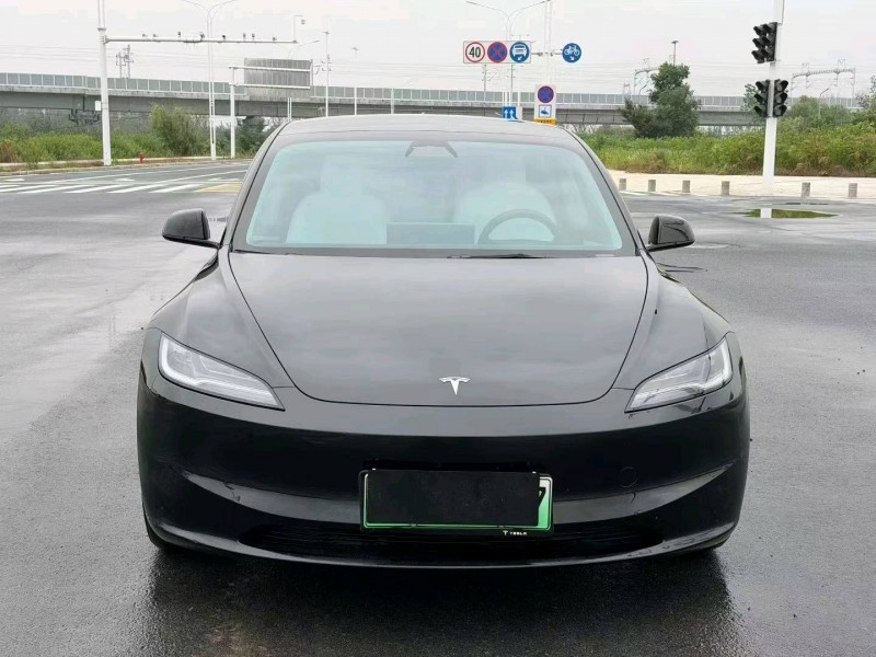 襄陽25年特斯拉MODEL 31