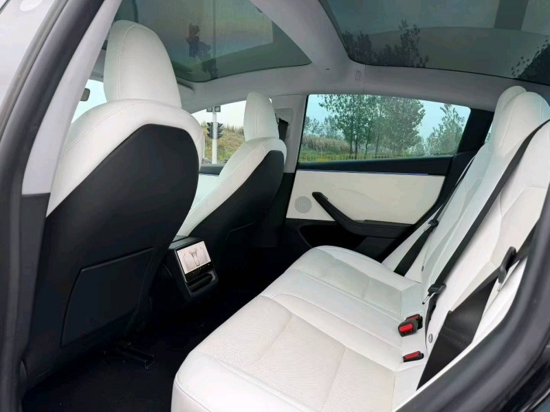 襄陽25年特斯拉MODEL 34