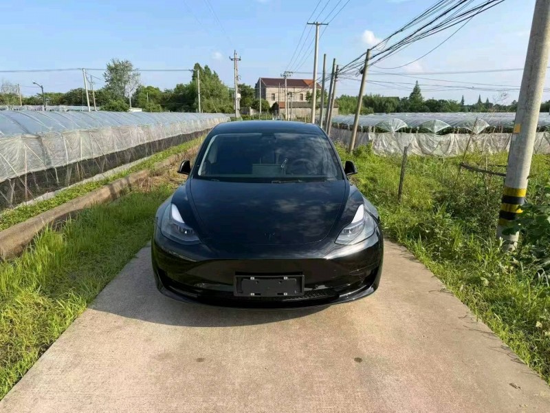 嘉興23年特斯拉MODEL 31