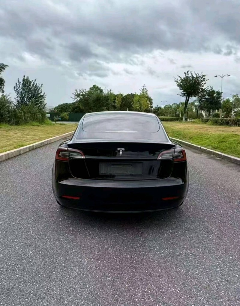 九江23年特斯拉MODEL 37