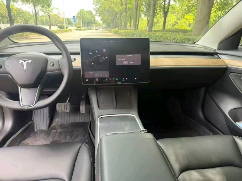 長沙21年特斯拉MODEL 39