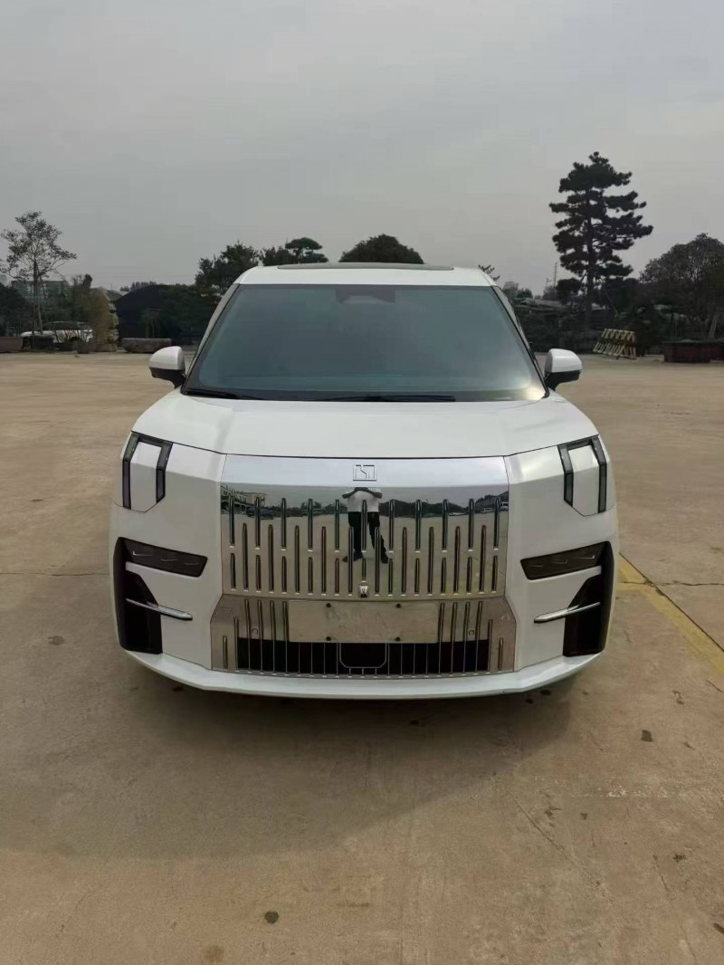 棗莊23年極氪汽車0091