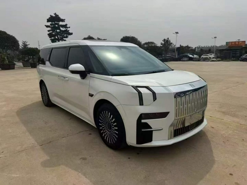 棗莊23年極氪汽車0092