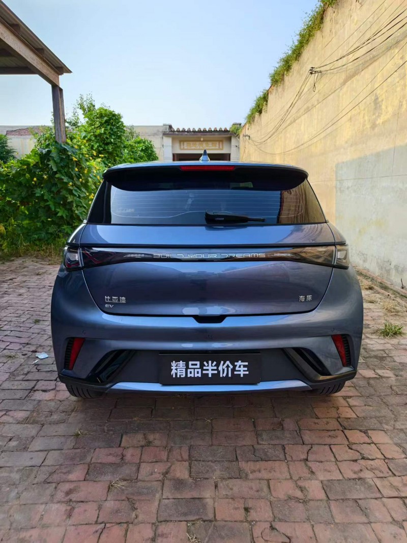保定25年比亞迪海豚9