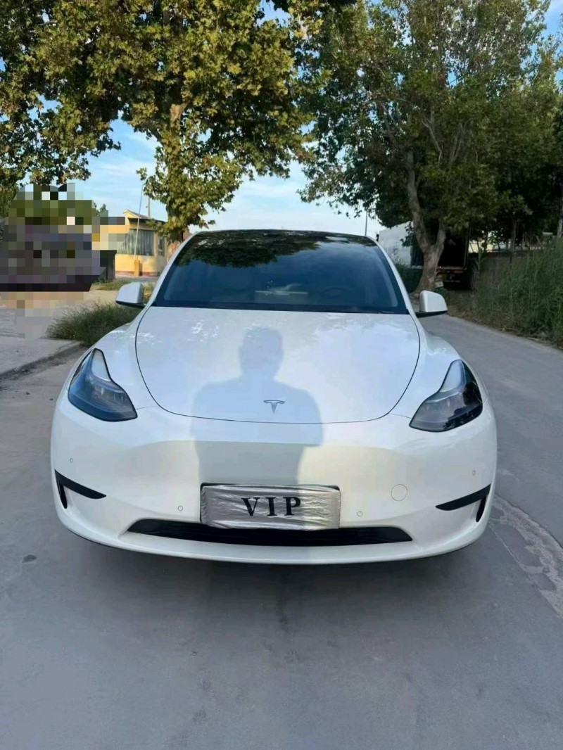 潍坊23年特斯拉MODEL Y1