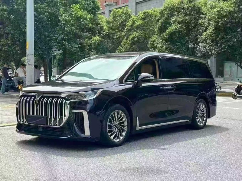 重慶23年嵐圖汽車夢想家7