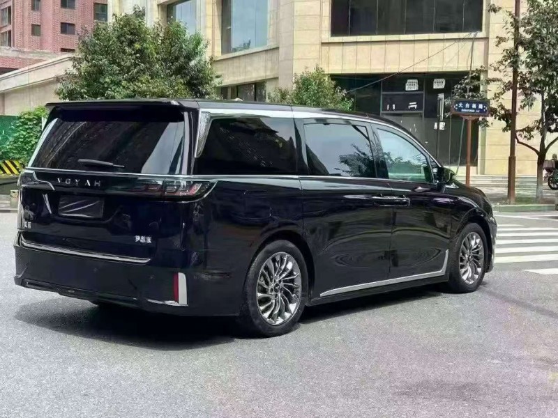 重慶23年嵐圖汽車夢想家8