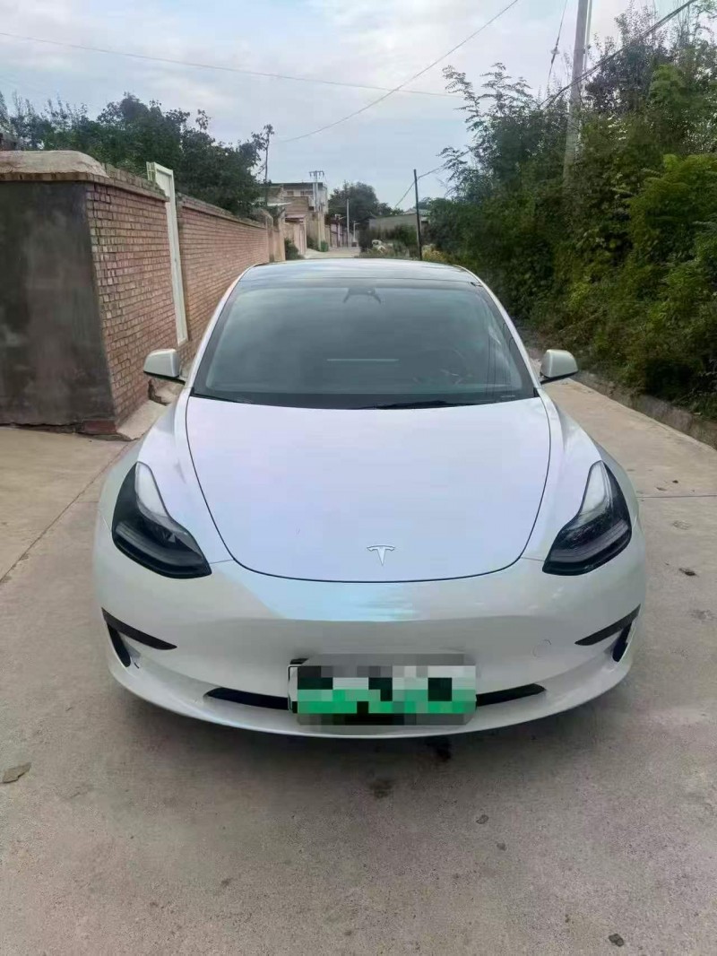 白銀22年特斯拉MODEL 31