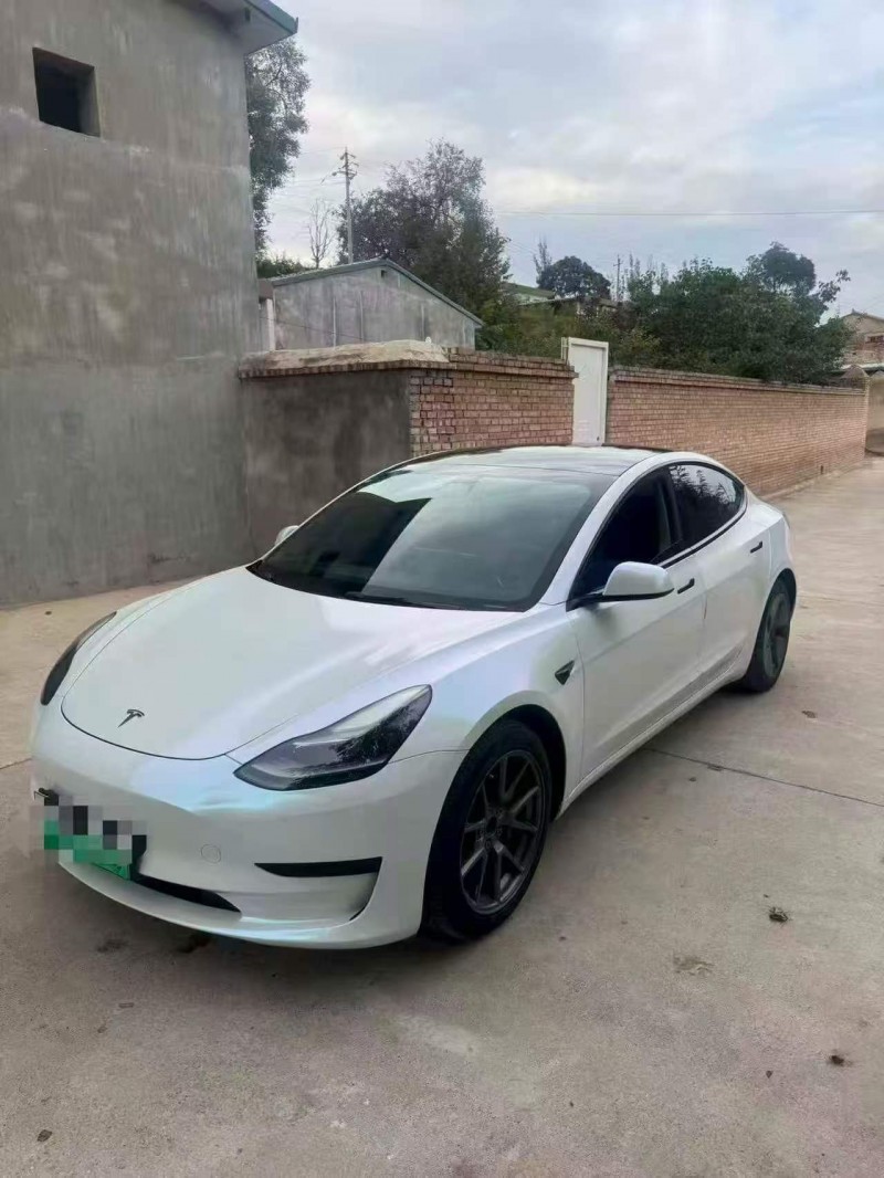 白銀22年特斯拉MODEL 33