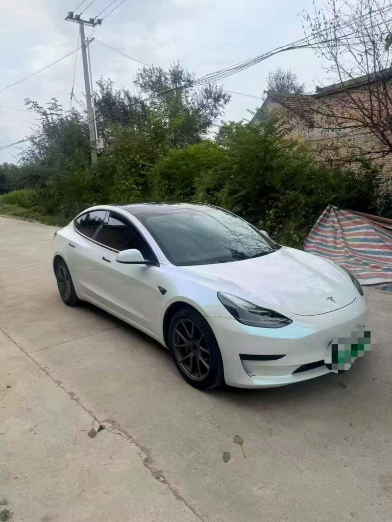 白銀22年特斯拉MODEL 34