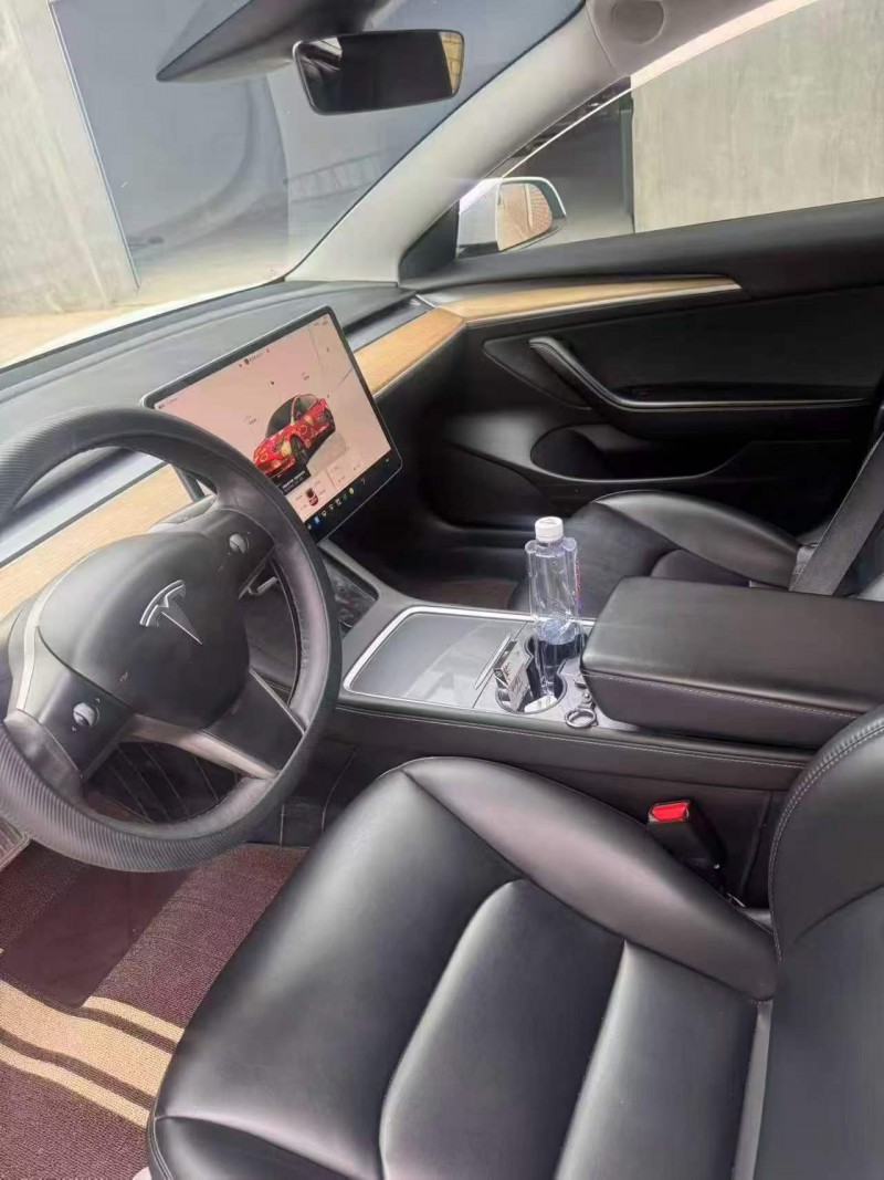 白銀22年特斯拉MODEL 35