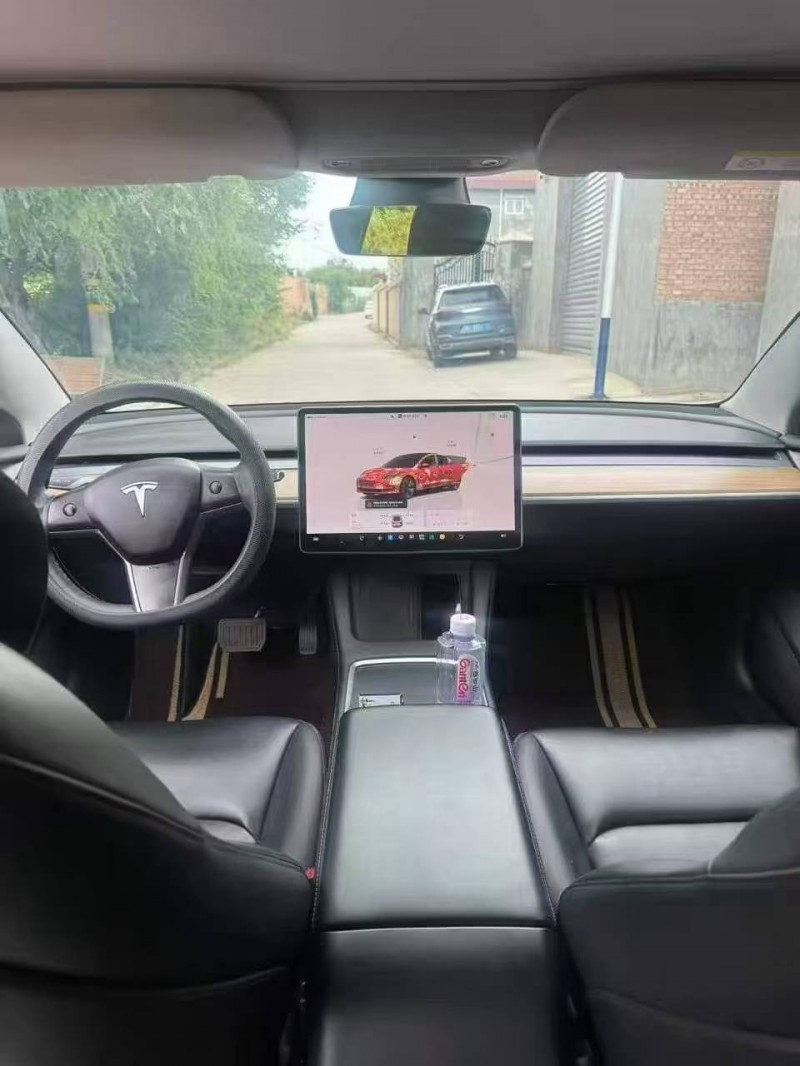 白銀22年特斯拉MODEL 36