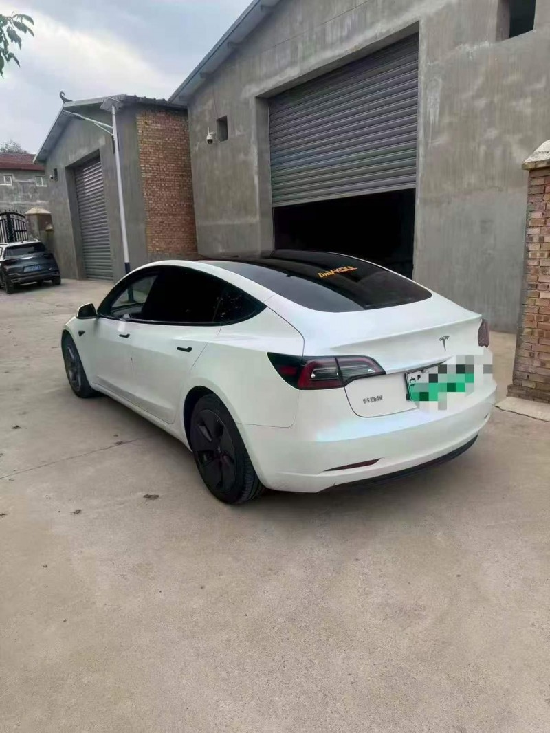 白銀22年特斯拉MODEL 38