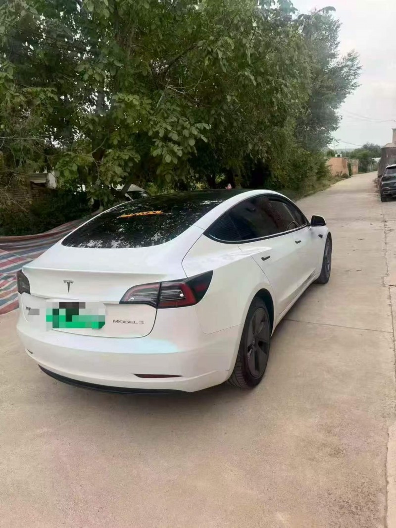 白銀22年特斯拉MODEL 39