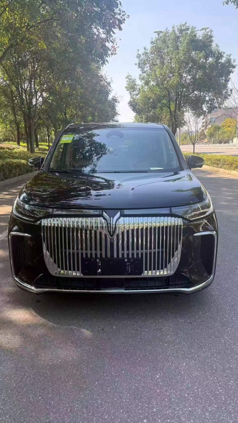 蘇州25年嵐圖汽車夢想家1