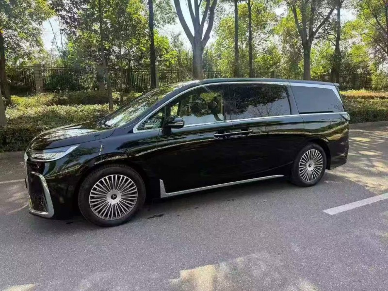 蘇州25年嵐圖汽車夢想家2