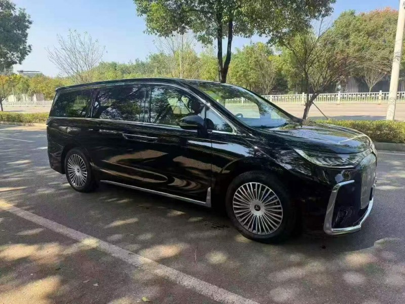 蘇州25年嵐圖汽車夢想家3