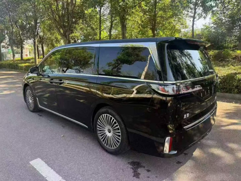 蘇州25年嵐圖汽車夢想家7