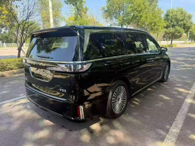 蘇州25年嵐圖汽車夢想家9