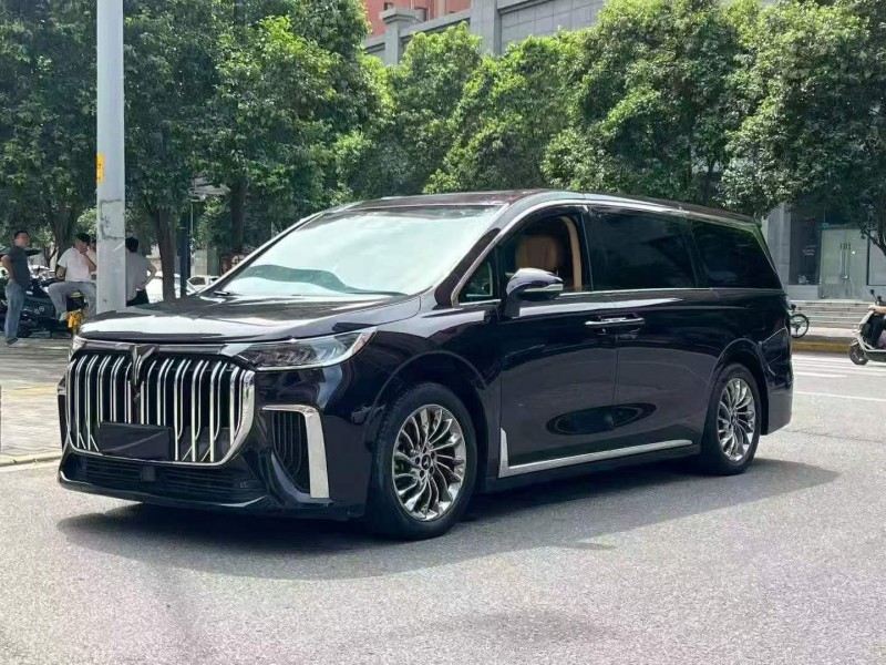 西安23年嵐圖汽車夢想家3