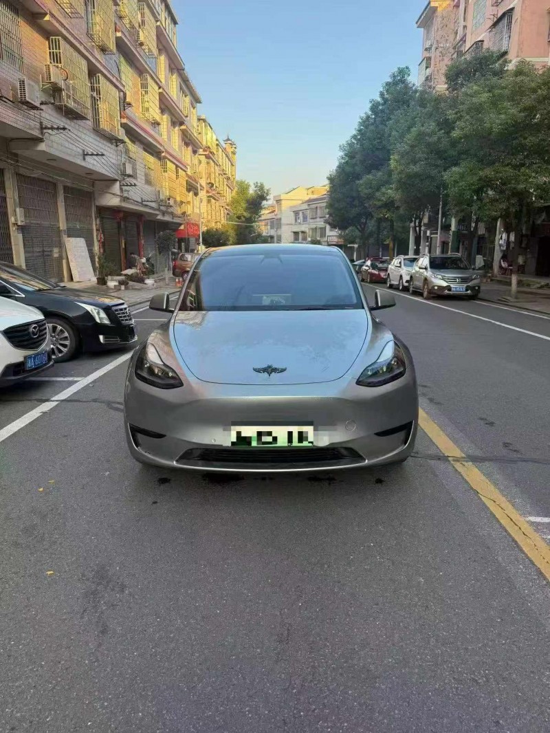 岳阳23年特斯拉MODEL Y1