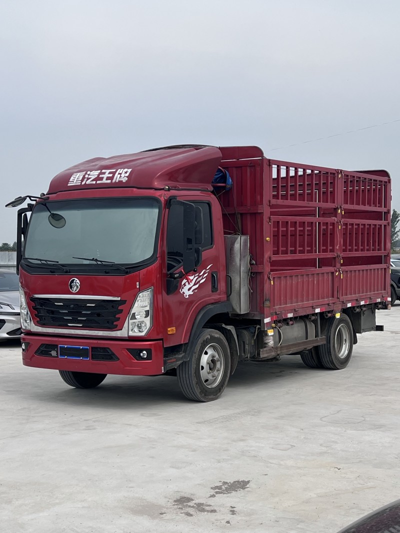 新鄉25年卡車系列重汽王牌3