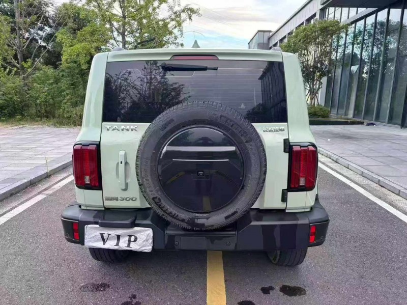 衡陽22年長城汽車坦克9