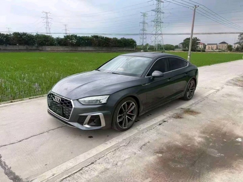 嘉興23年奧迪A55
