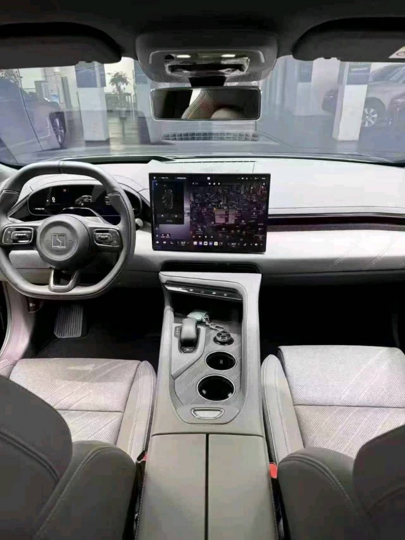 畢節25年極氪汽車0015