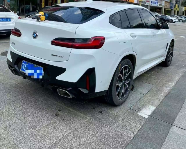 广州22年宝马X44