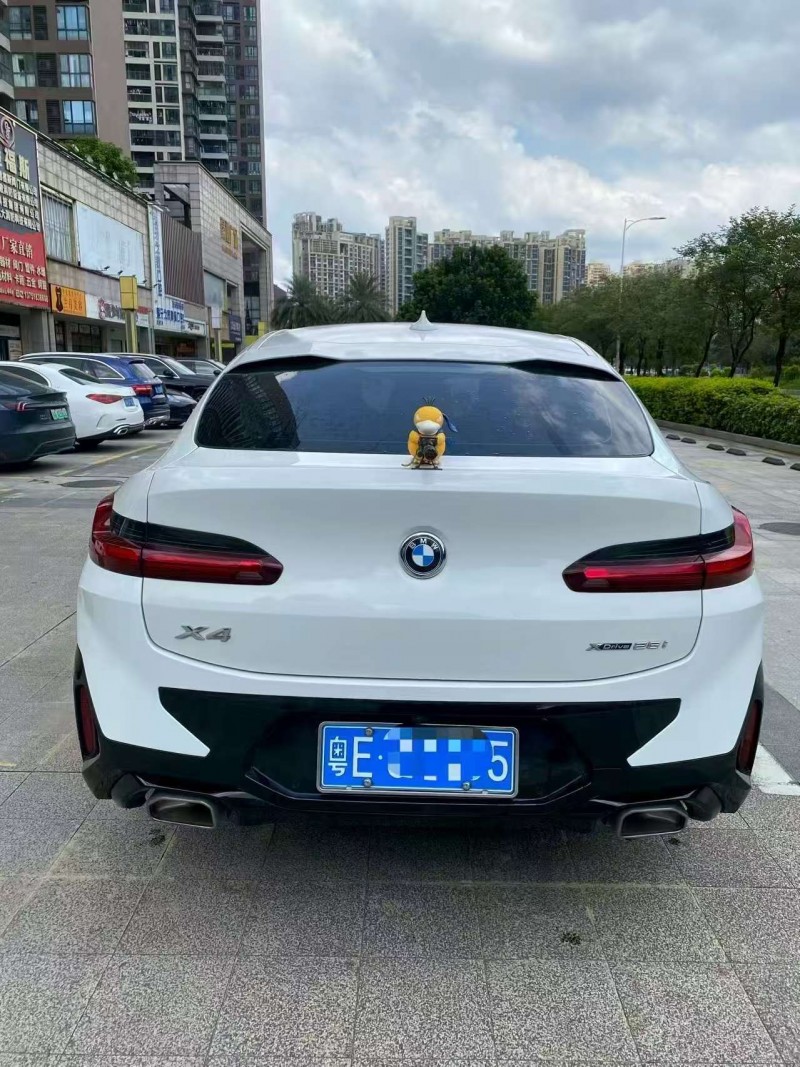 广州22年宝马X49