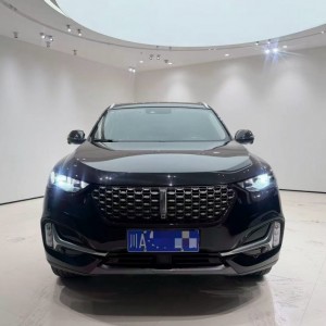 成都20年长城汽车魏牌
