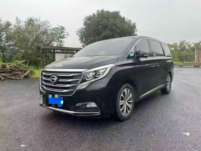 邵阳19年传祺M8/GM83