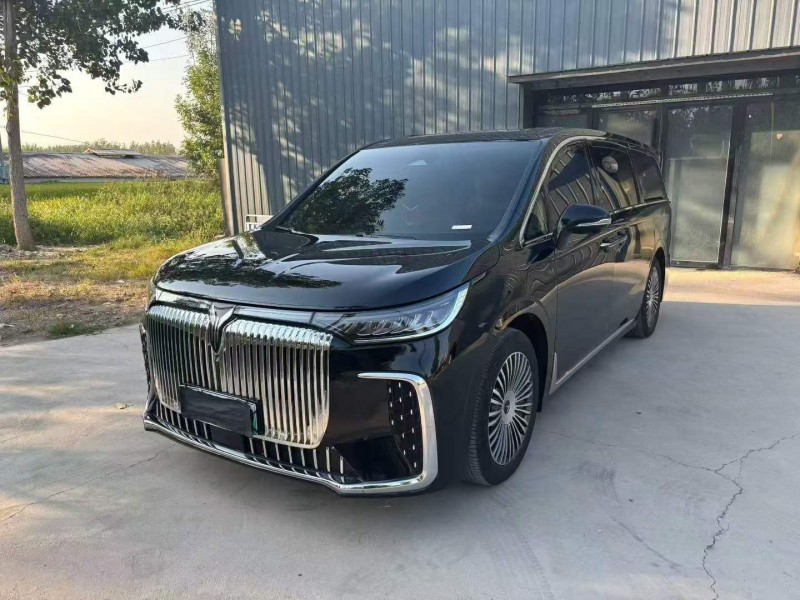 徐州26年嵐圖汽車夢想家3