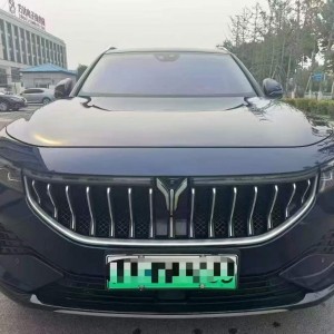 淮安22年岚图汽车FREE