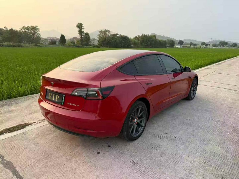 嘉兴21年特斯拉MODEL 37