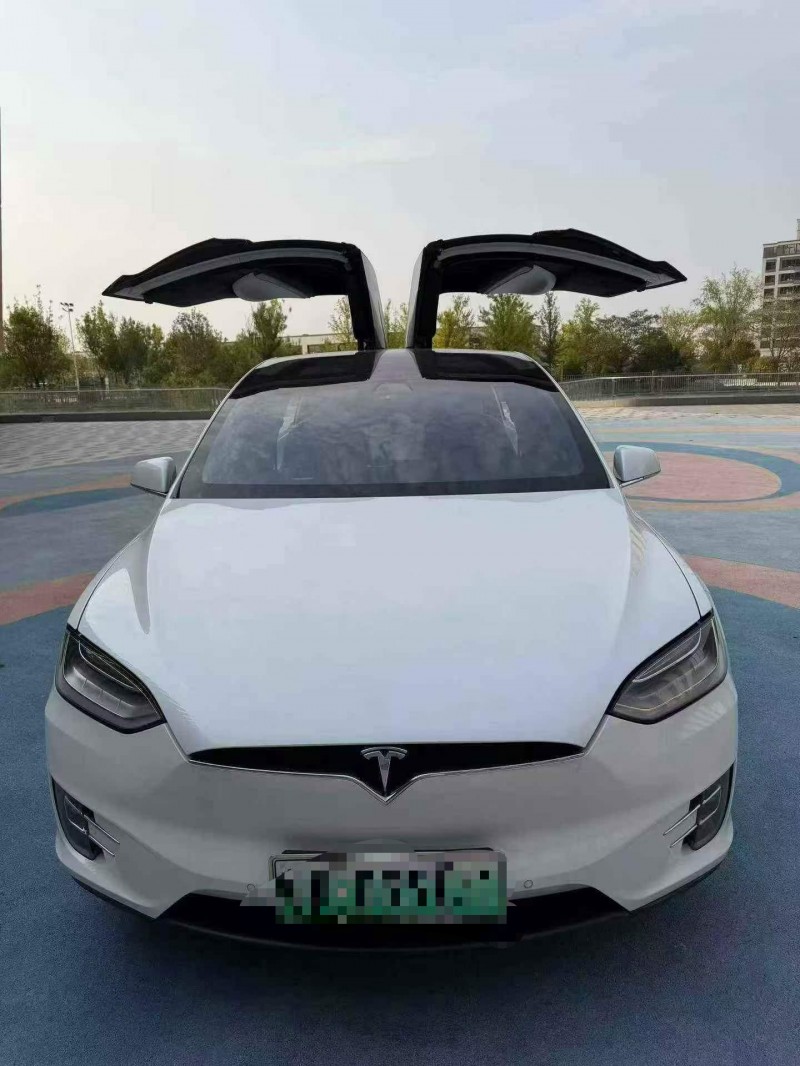 东营20年特斯拉MODEL X1