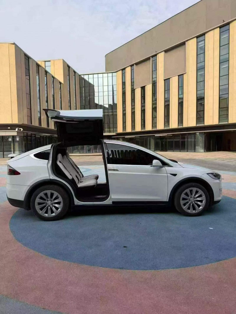 东营20年特斯拉MODEL X2