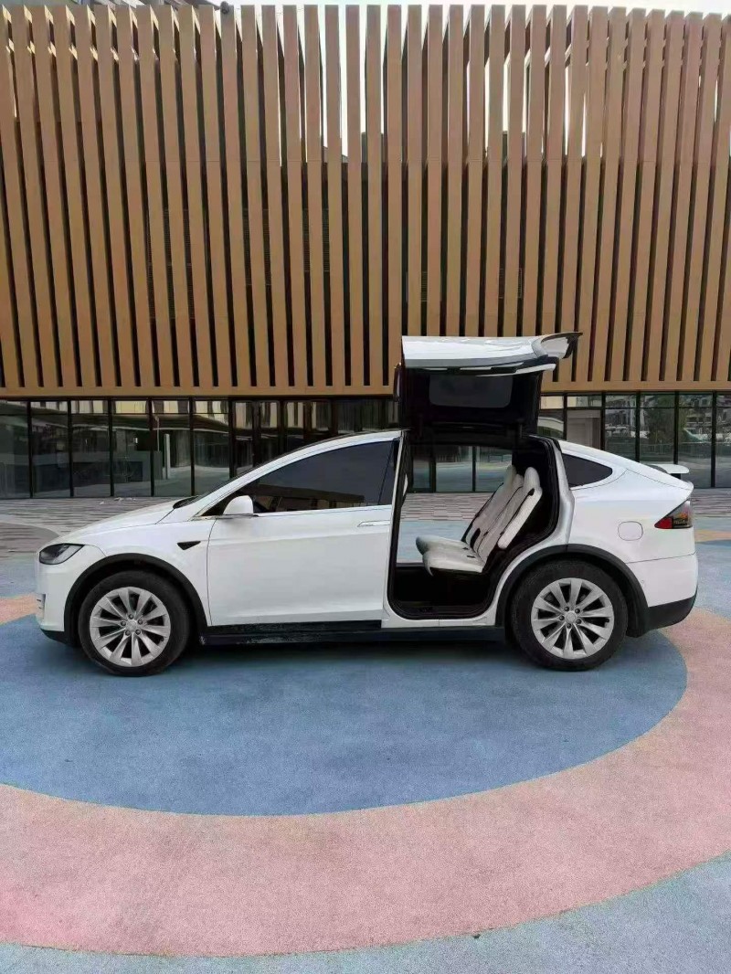 东营20年特斯拉MODEL X5