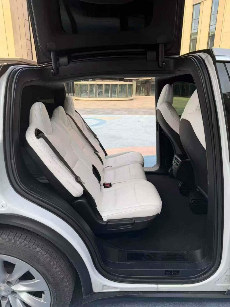 东营20年特斯拉MODEL X6