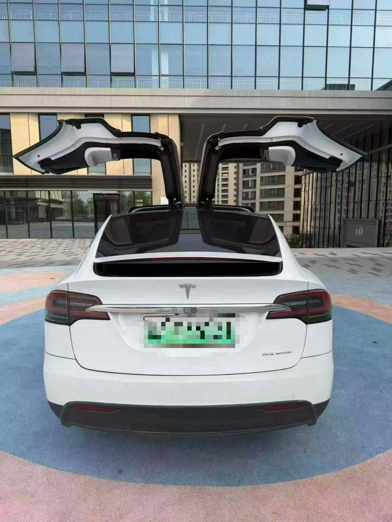 东营20年特斯拉MODEL X9