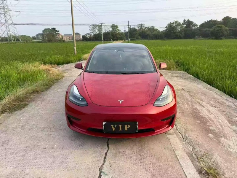 温州21年特斯拉MODEL 31