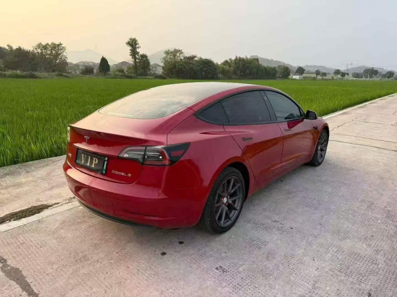 温州21年特斯拉MODEL 38
