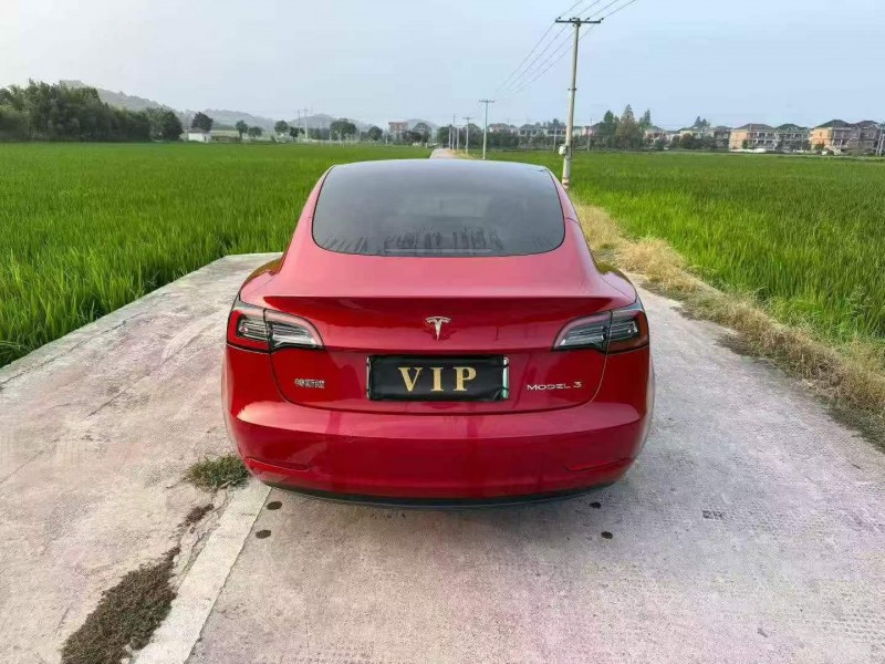 温州21年特斯拉MODEL 39
