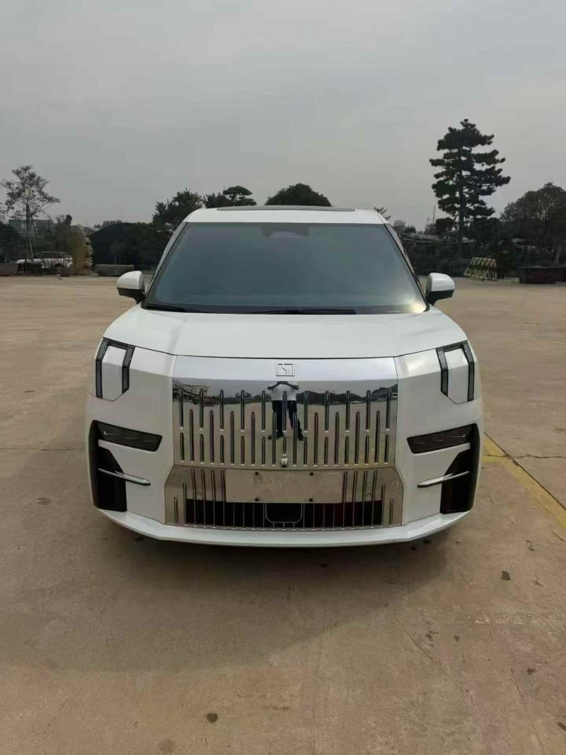 枣庄23年极氪汽车0091