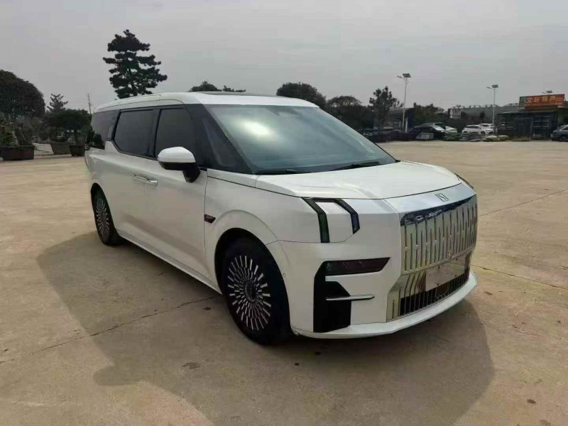 枣庄23年极氪汽车0093