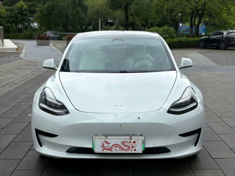 佛山21年特斯拉MODEL 31