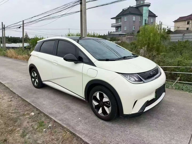 嘉兴24年比亚迪海豚3